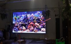 Màn hình LED Full Color P3 trong nhà tại Trống Đồng Linh Đàm