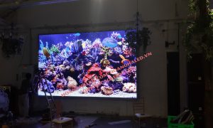 Màn hình LED Full Color P3 trong nhà tại Trống Đồng Linh Đàm