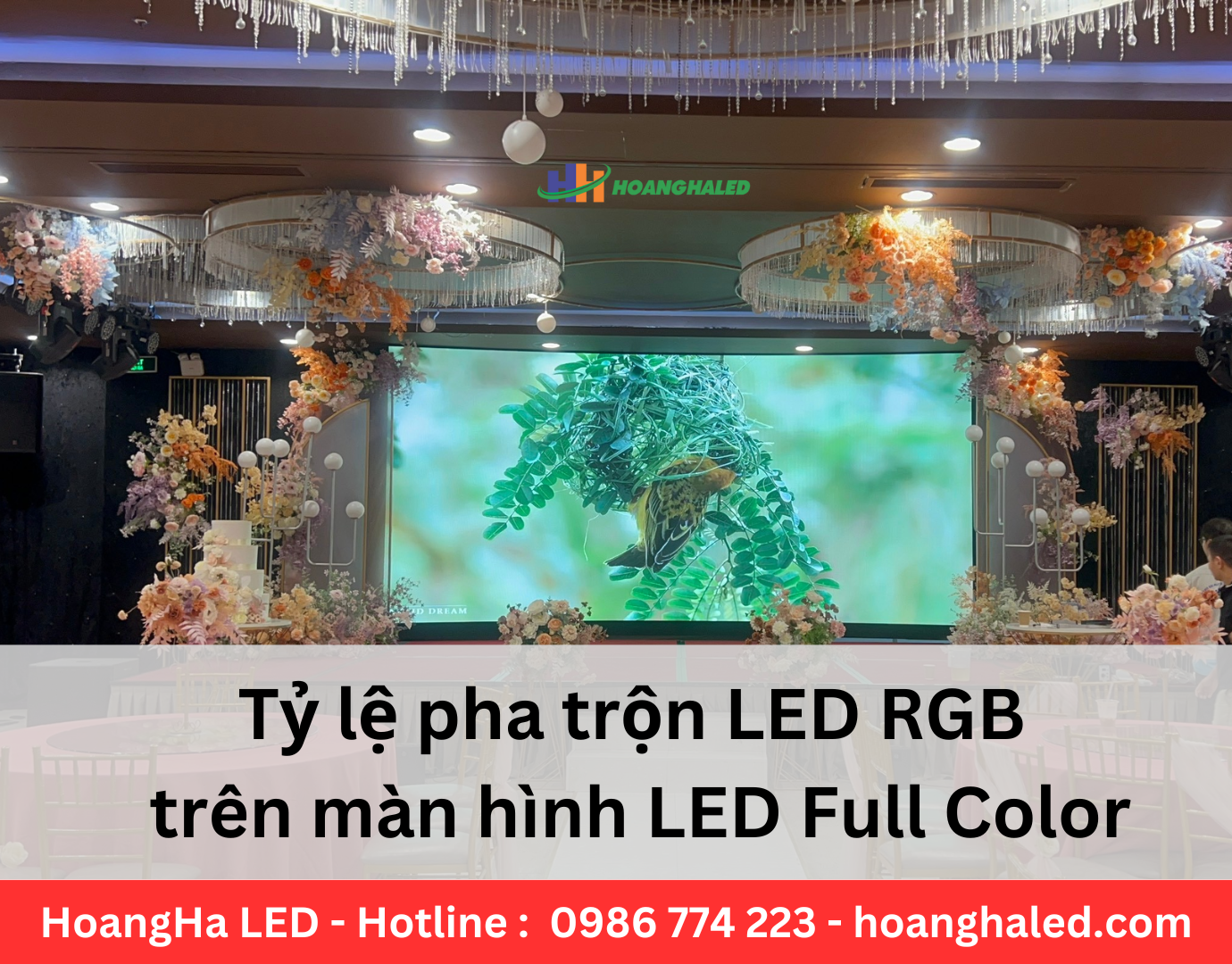 Ty le pha tron LED RGB tren man hinh LED Full Color