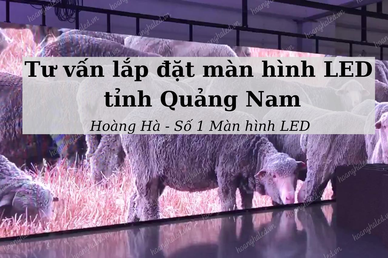 Tu van lap dat man hinh LED tai tinh Quang Nam