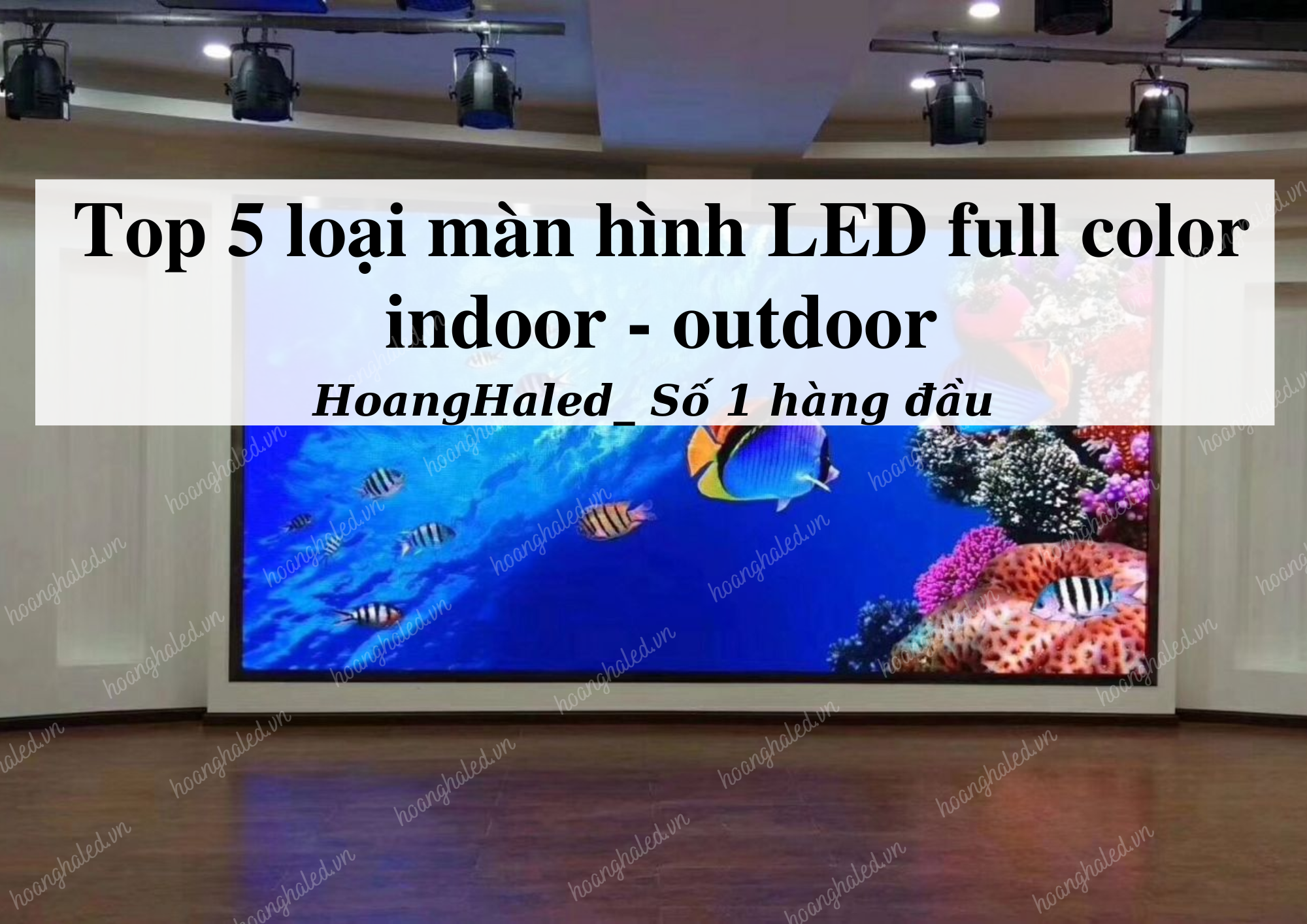 Top 5 loai man hinh LED full indoor outdoor