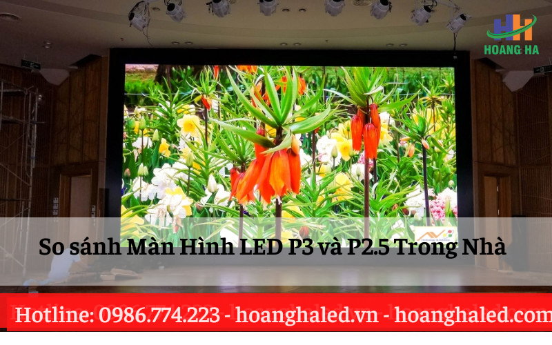 So sanh Man Hinh LED P3 va P25 Trong Nha