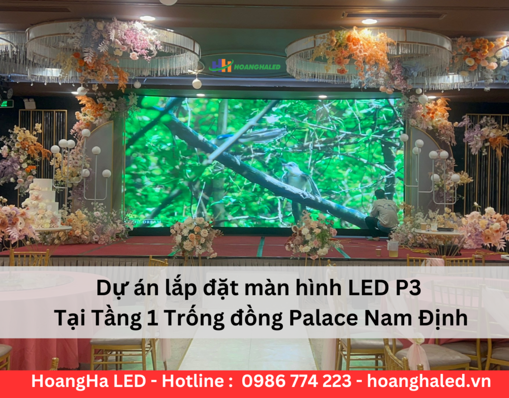Lắp đặt màn hình LED P3 tại trống đồng palace
