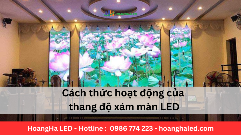 Cach thuc hoat dong cua thang do xam man LED