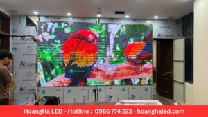 màn-hình-led-p2.5-trong-nhà