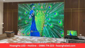  màn hình LED chạy Online