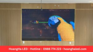 màn hình LED chạy Online