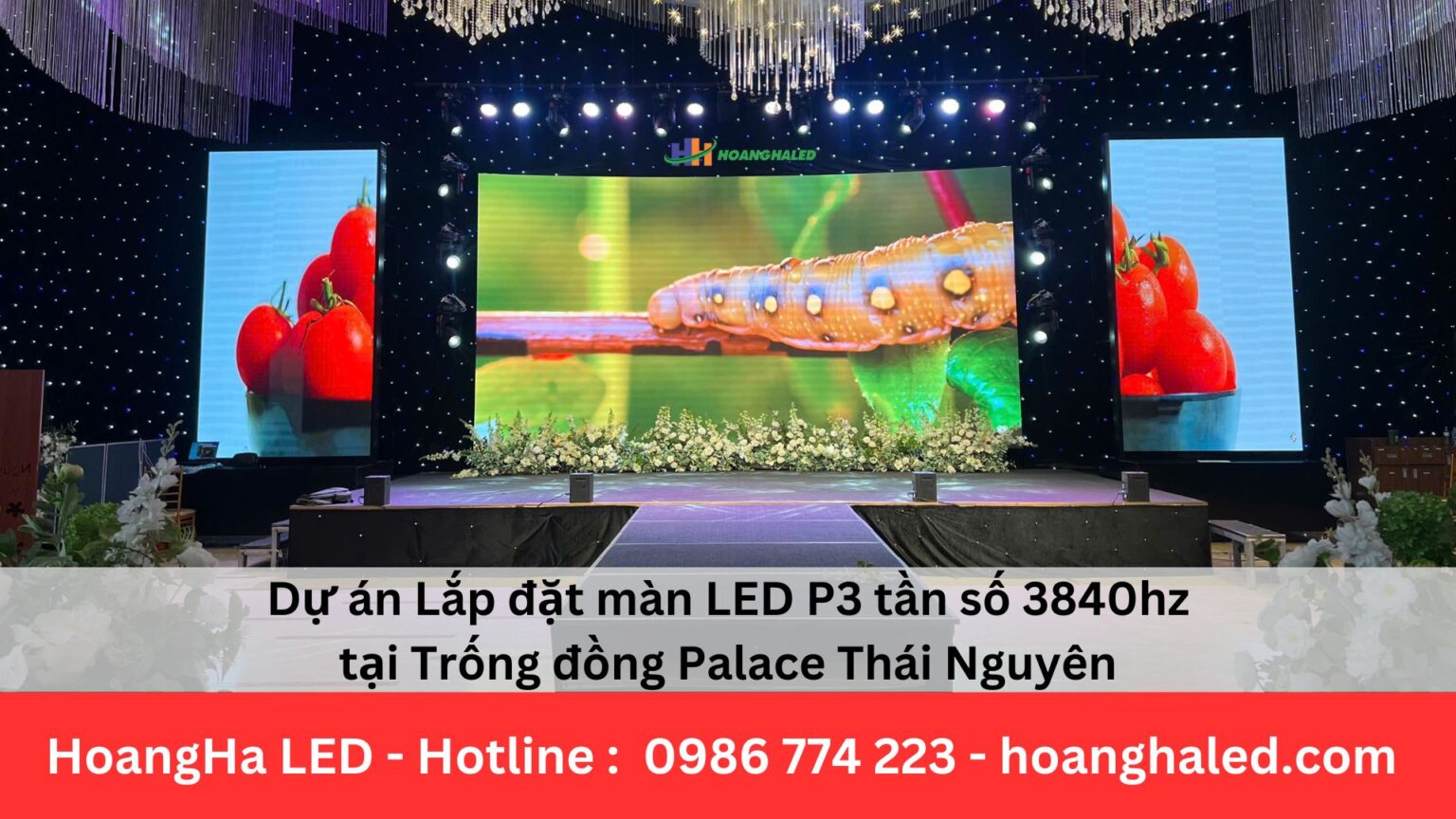 Dự án Lắp đặt màn LED P3 tần số 3840hz tại Trống đồng Palace Thái Nguyên