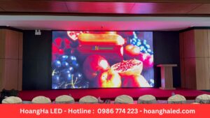 hiển thị Màn LED P2.5 3840hz 