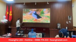 Dự án về lắp màn LED P2 