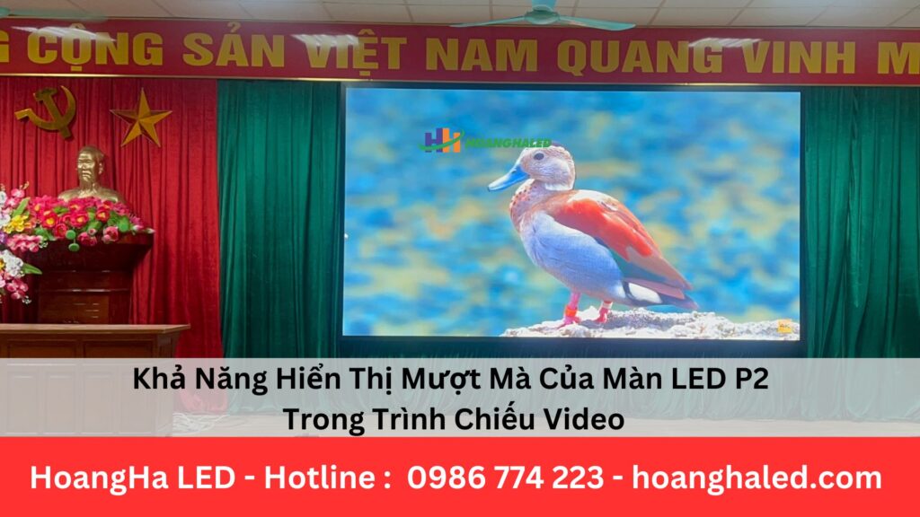 Khả Năng Hiển Thị Mượt Mà Của Màn LED P2 Trong Trình Chiếu Video