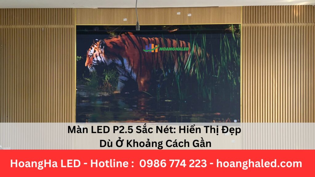 Màn LED P2.5 Sắc Nét: Hiển Thị Đẹp Dù Ở Khoảng Cách Gần