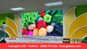 Dự Án Lắp Đặt Màn LED P2.5 thcs