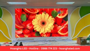 Dự Án Lắp Đặt Màn LED P2.5 thcs