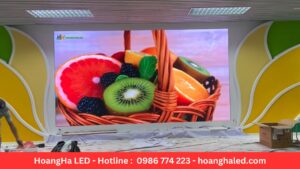 Dự Án Lắp Đặt Màn LED P2.5 thcs