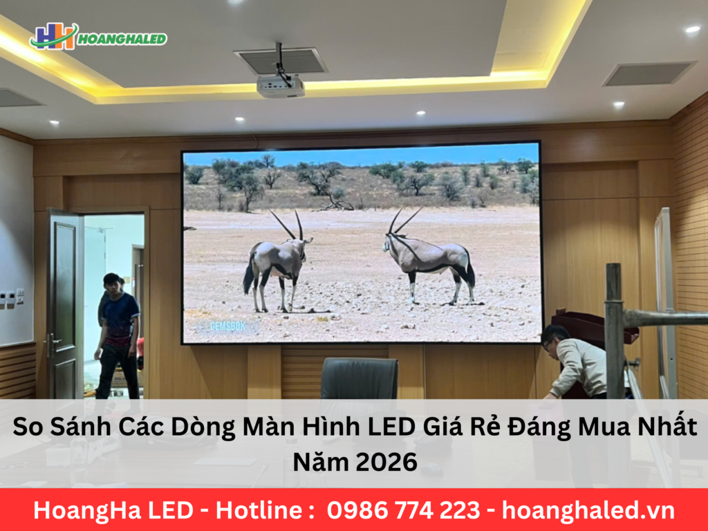 Màn Hình LED Giá Rẻ